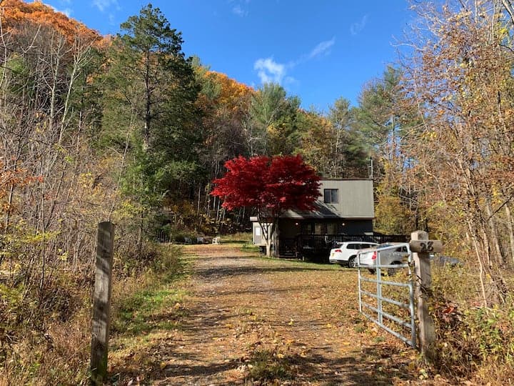 Vintage Modern in the Woods